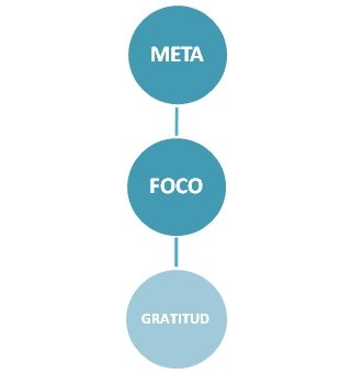 Meta - Foco - Gratitud